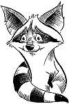 Waschbär